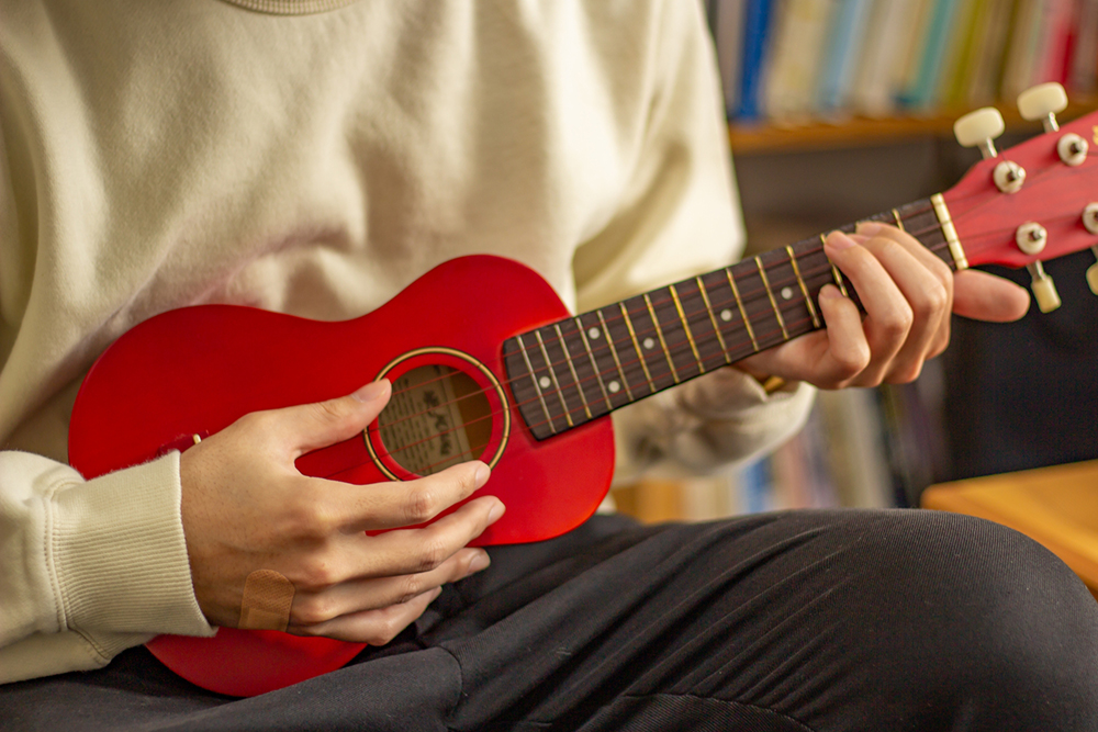 ウクレレの手元の動きが視覚的に理解できる
